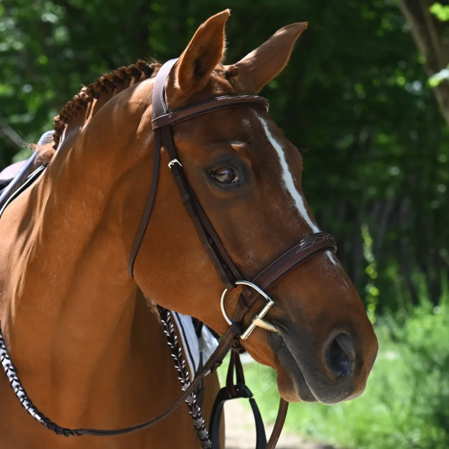 Antarès® Origin Hunter Bridle with Laced Reins   FREE Custom Name Tag!