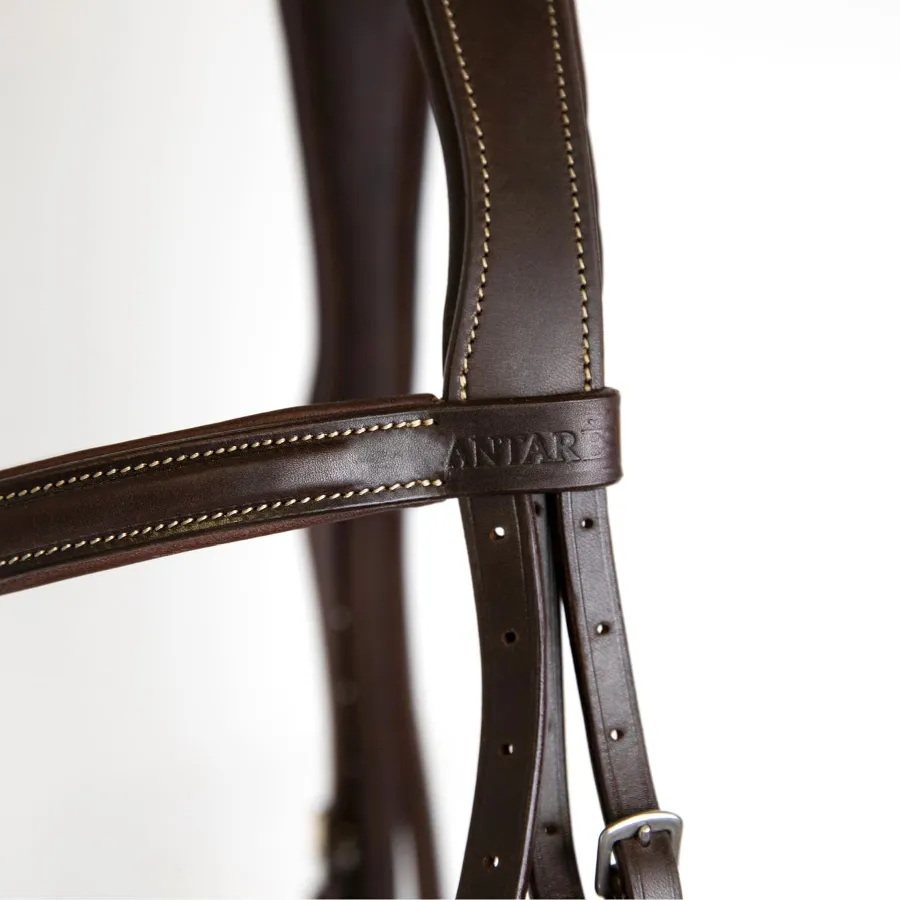 Antarès® Origin Hunter Bridle with Laced Reins   FREE Custom Name Tag!