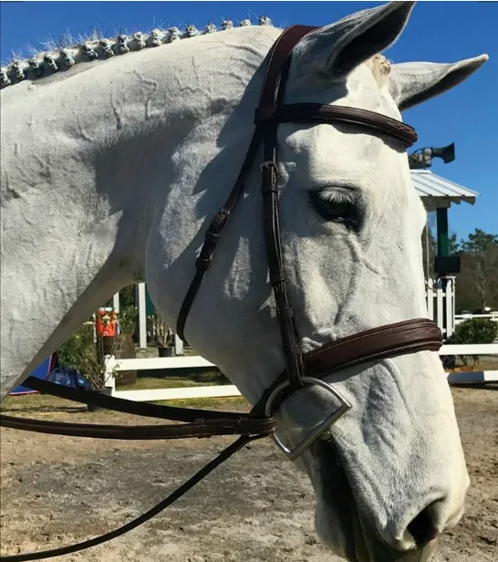 Antarès® Origin Hunter Bridle with Laced Reins   FREE Custom Name Tag!