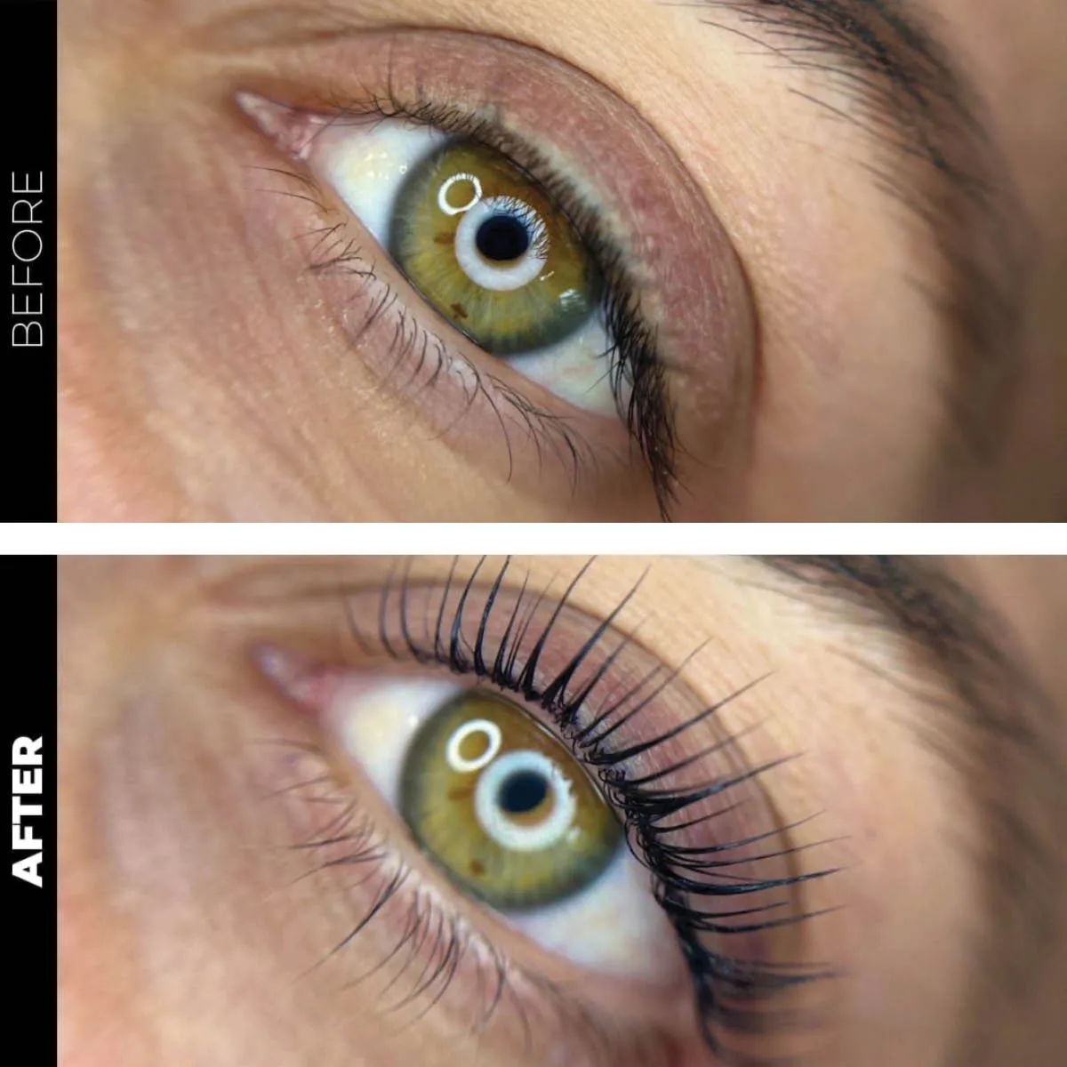 Brow Lamination & Lash Lift Professional Complete Combo Kit