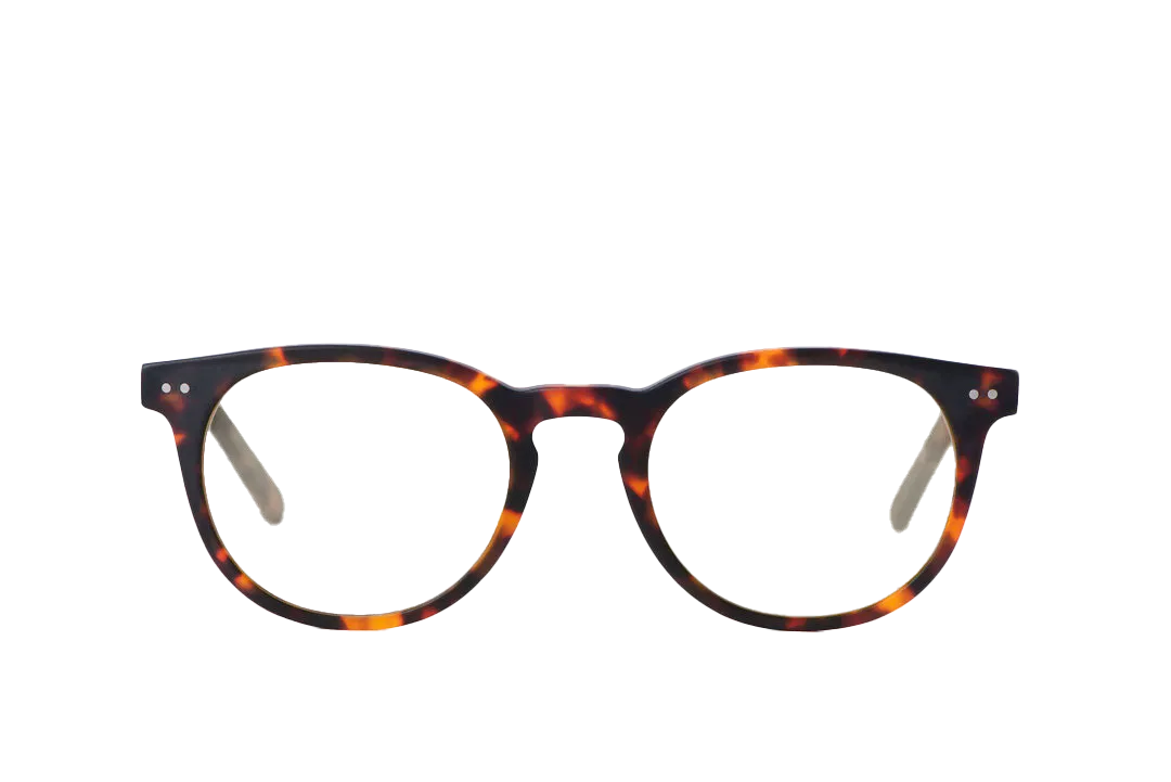 Clarke Computer Glasses