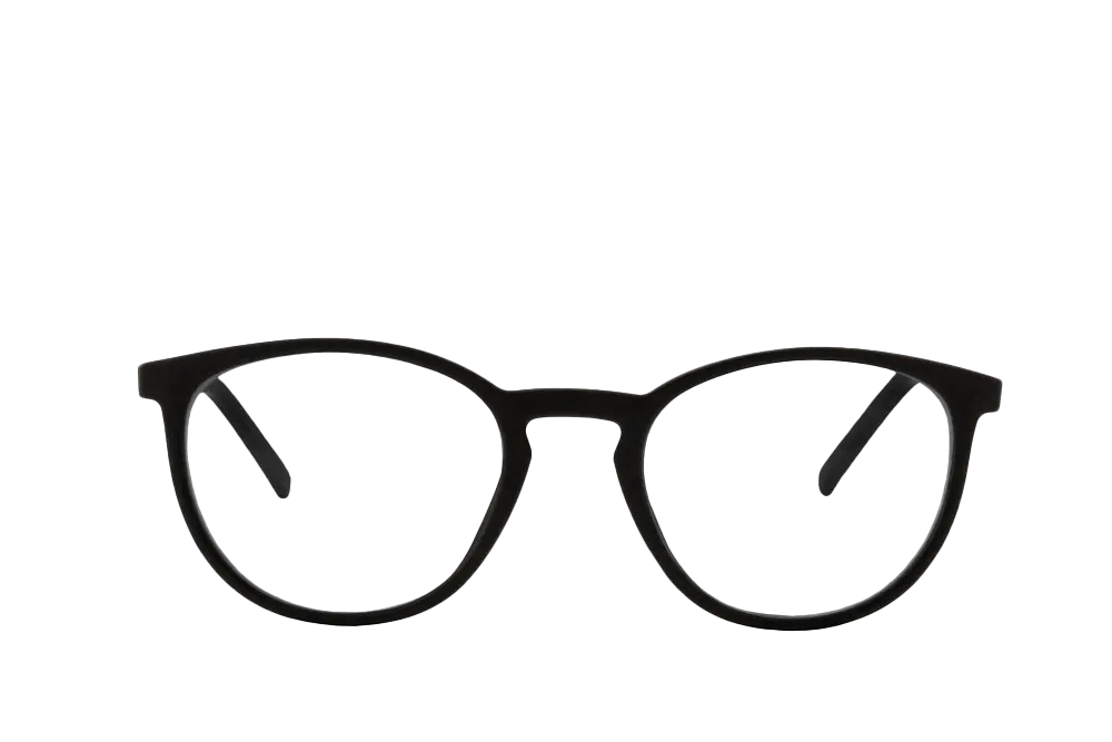 Echo Computer Glasses