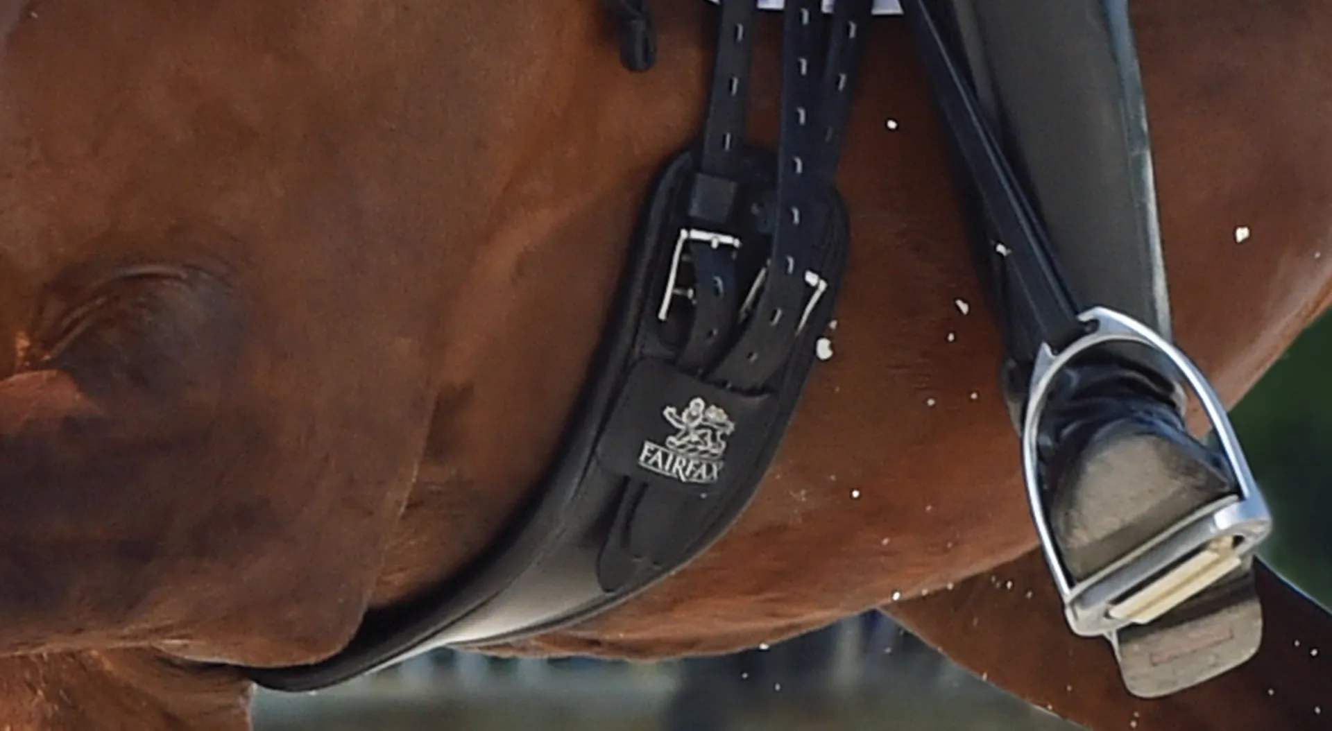 Fairfax Standard Gauge Performance Girth