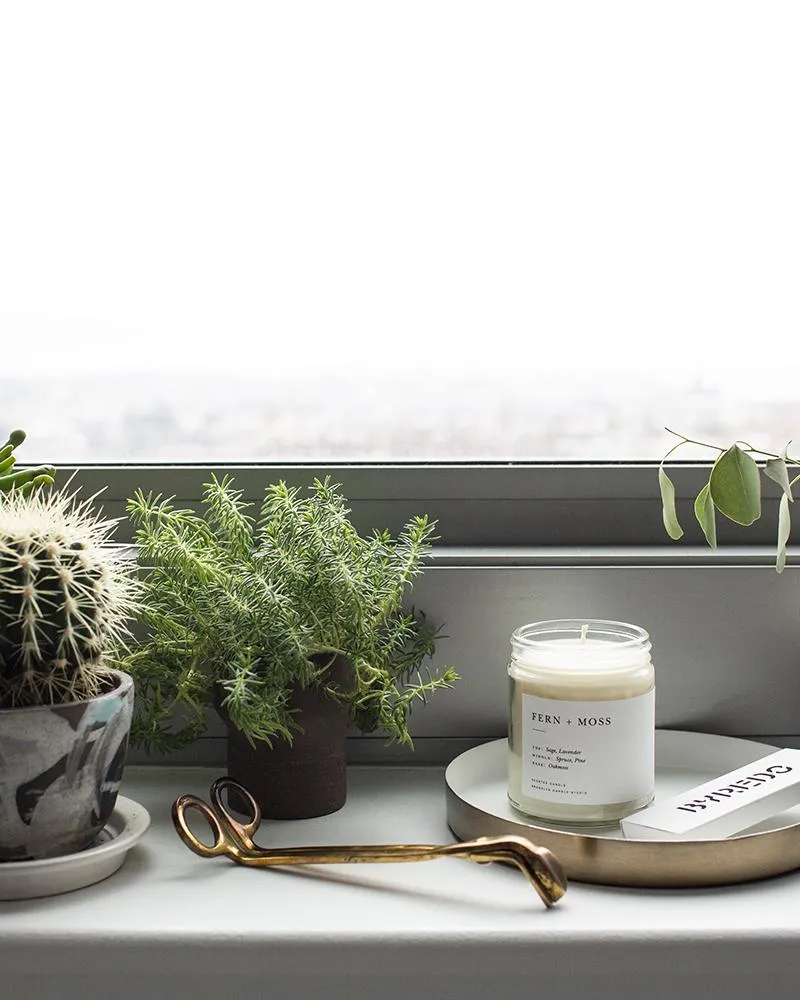 Fern   Moss Minimalist Candle by Brooklyn Candle Studio