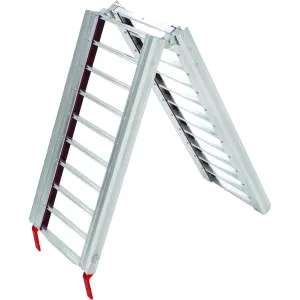 Folding Ramp