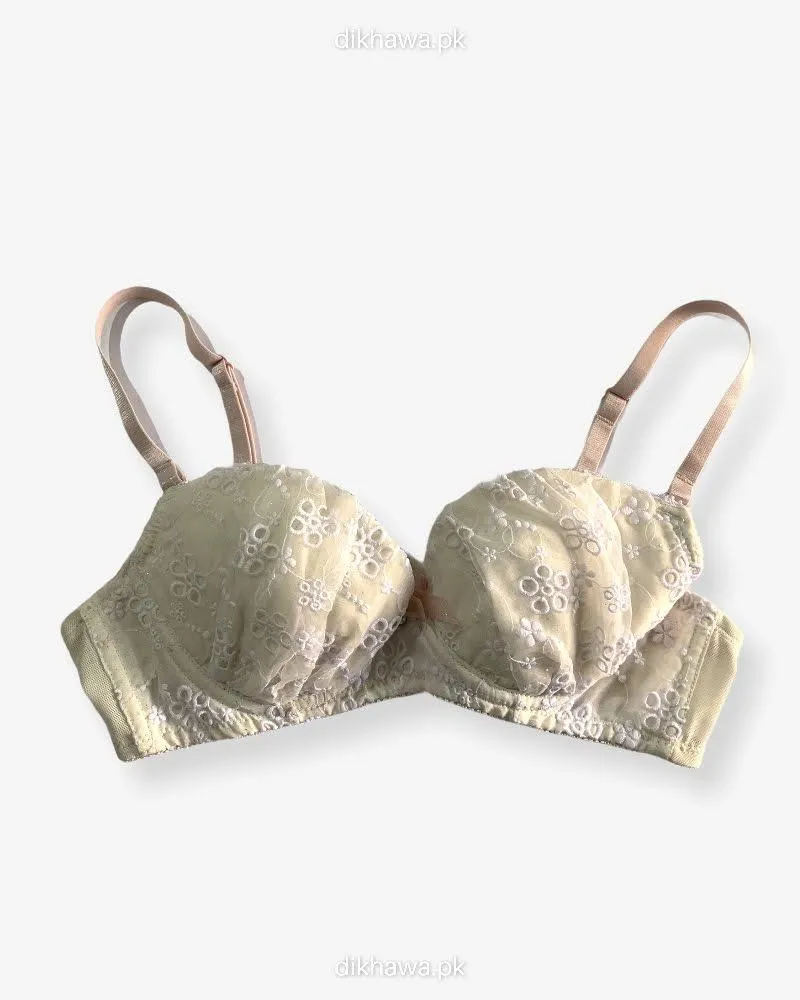 Imported Stocklot Branded  Net Pushup Bra - Underwired Bra  Non Padded Bra - Pack of 2