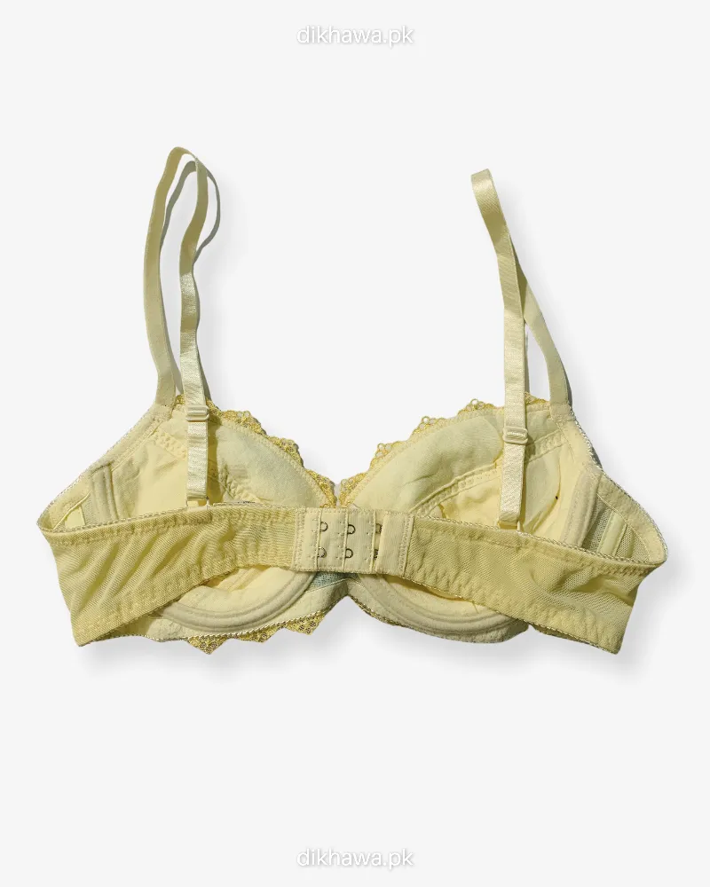 Imported Stocklot Branded  Net Pushup Bra - Underwired Padded Bra - Pack of 2
