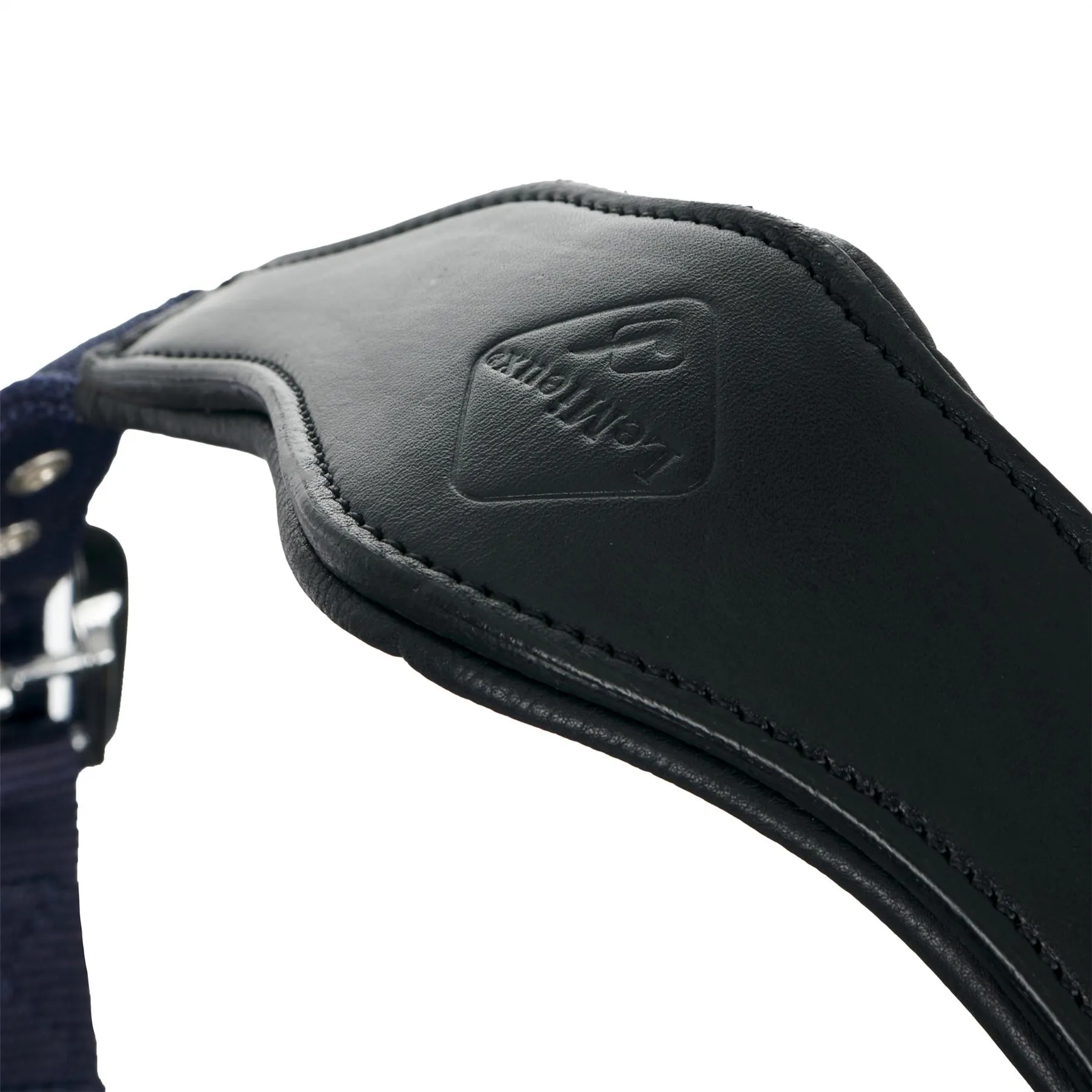 LeMieux Capella Headcollar