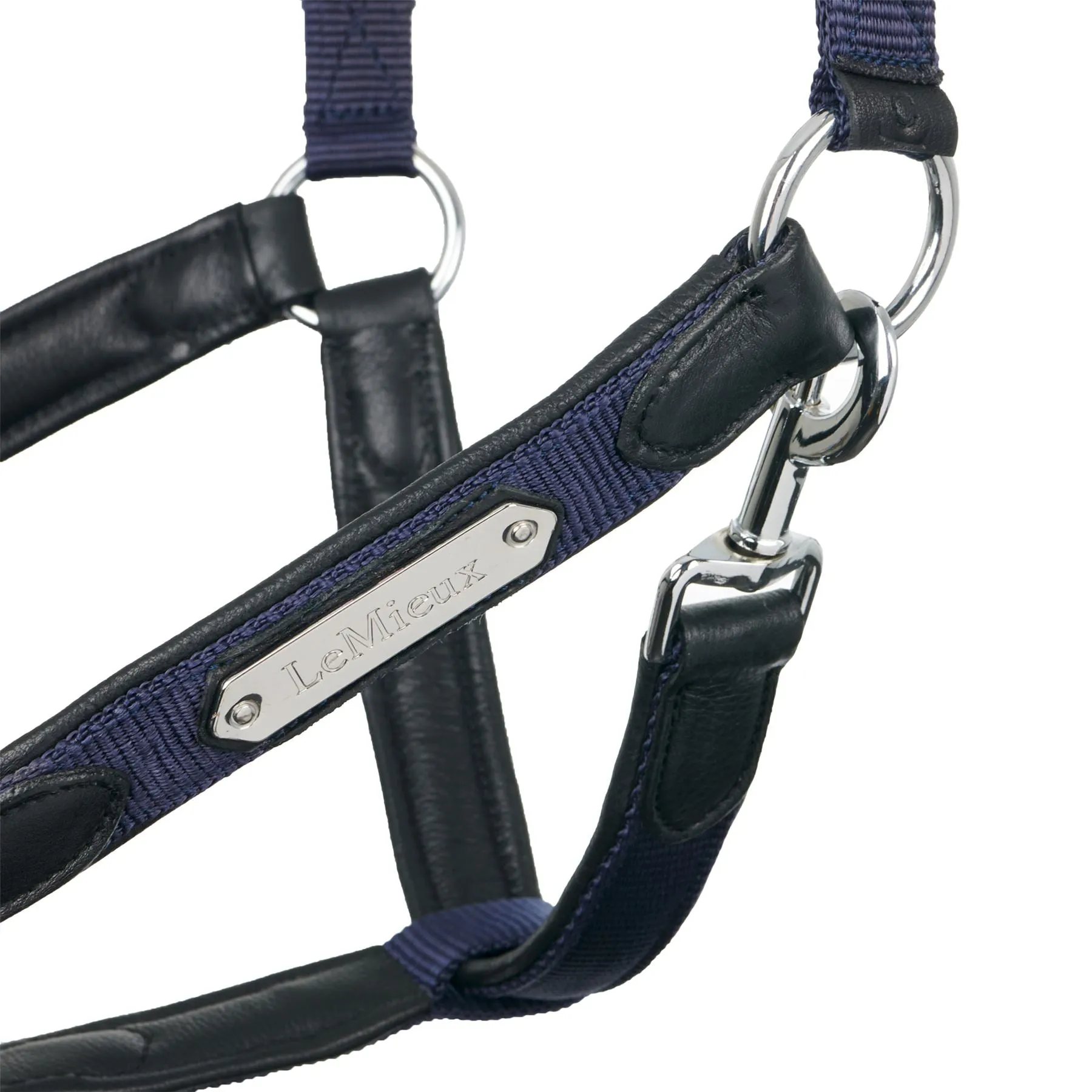 LeMieux Capella Headcollar