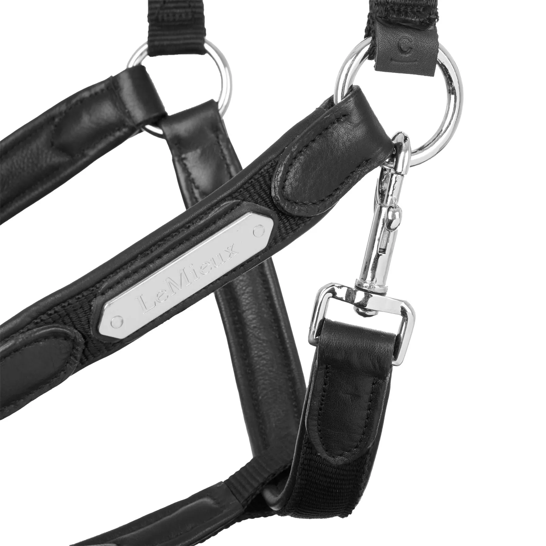 LeMieux Capella Headcollar
