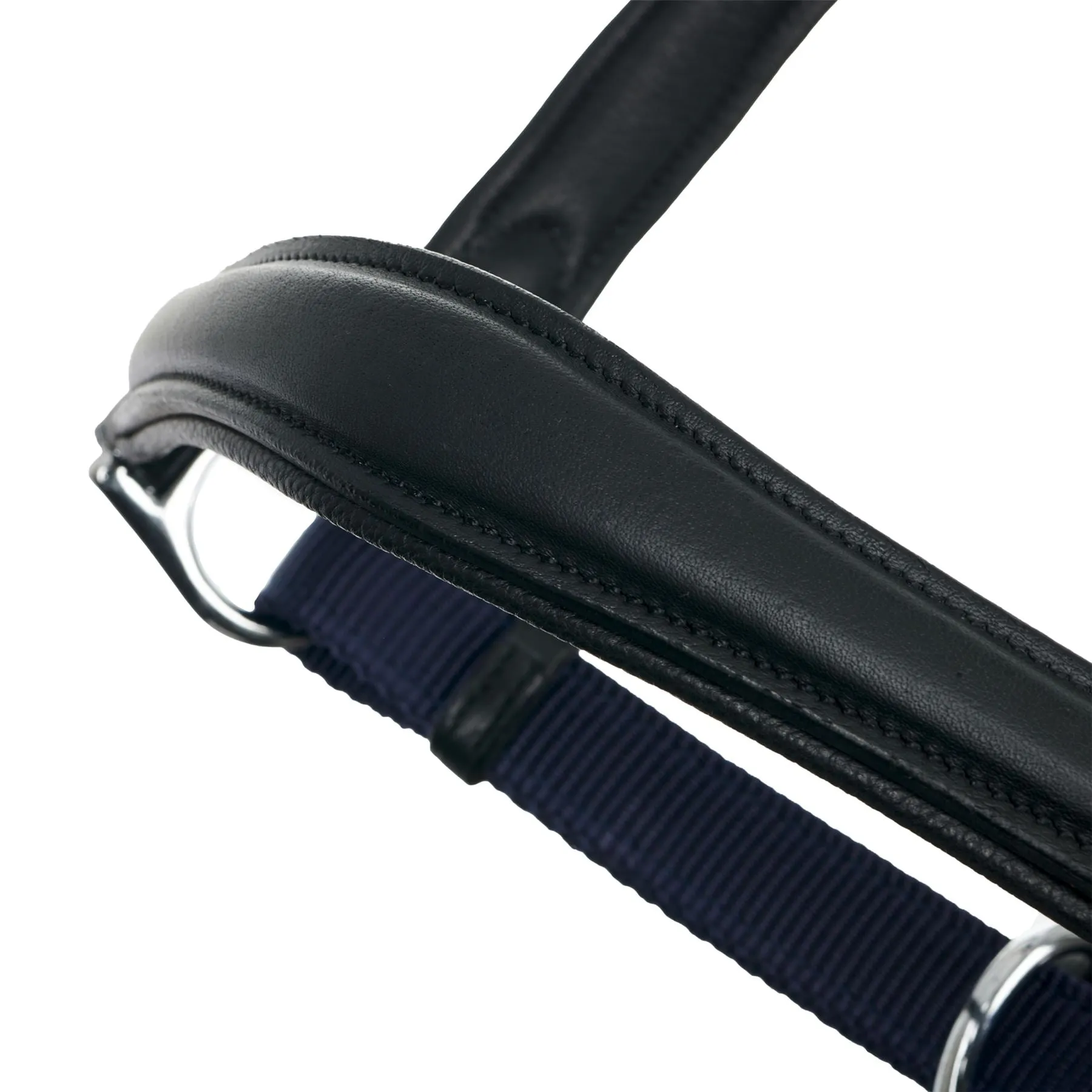 LeMieux Capella Headcollar