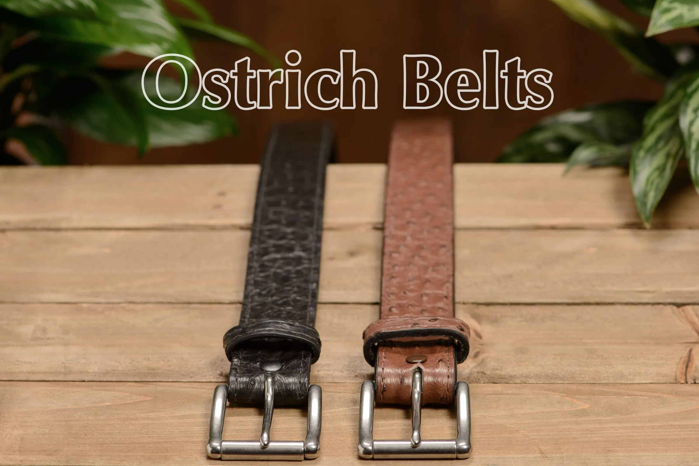 Men's Brown South African Ostrich Skin Max Thickness Gun Belt
