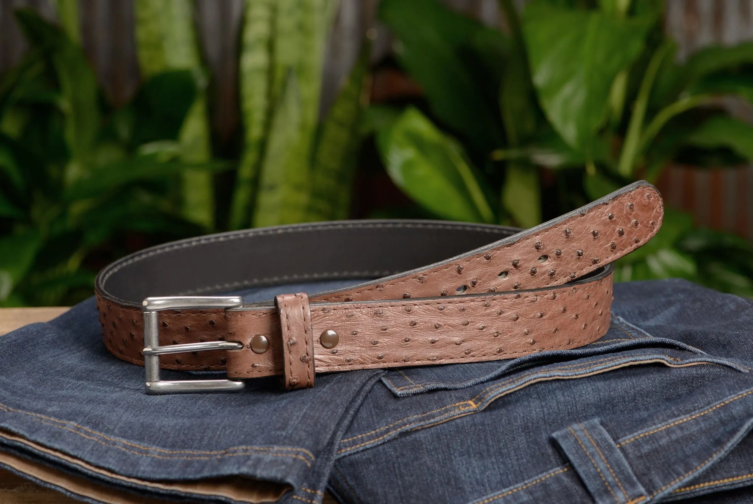Men's Brown South African Ostrich Skin Max Thickness Gun Belt