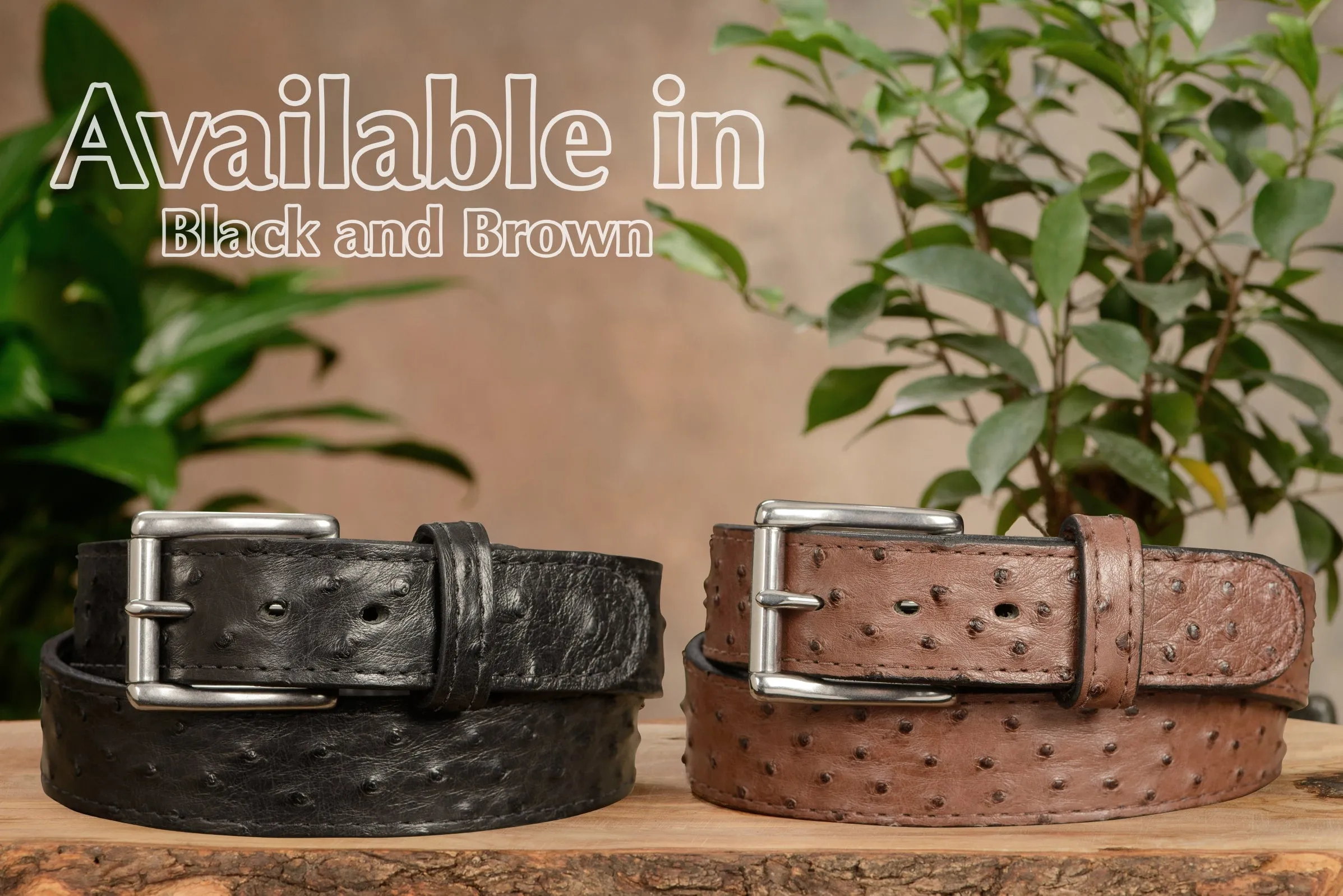 Men's Brown South African Ostrich Skin Max Thickness Gun Belt
