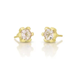 Morganite V Prong Hexagon Studs