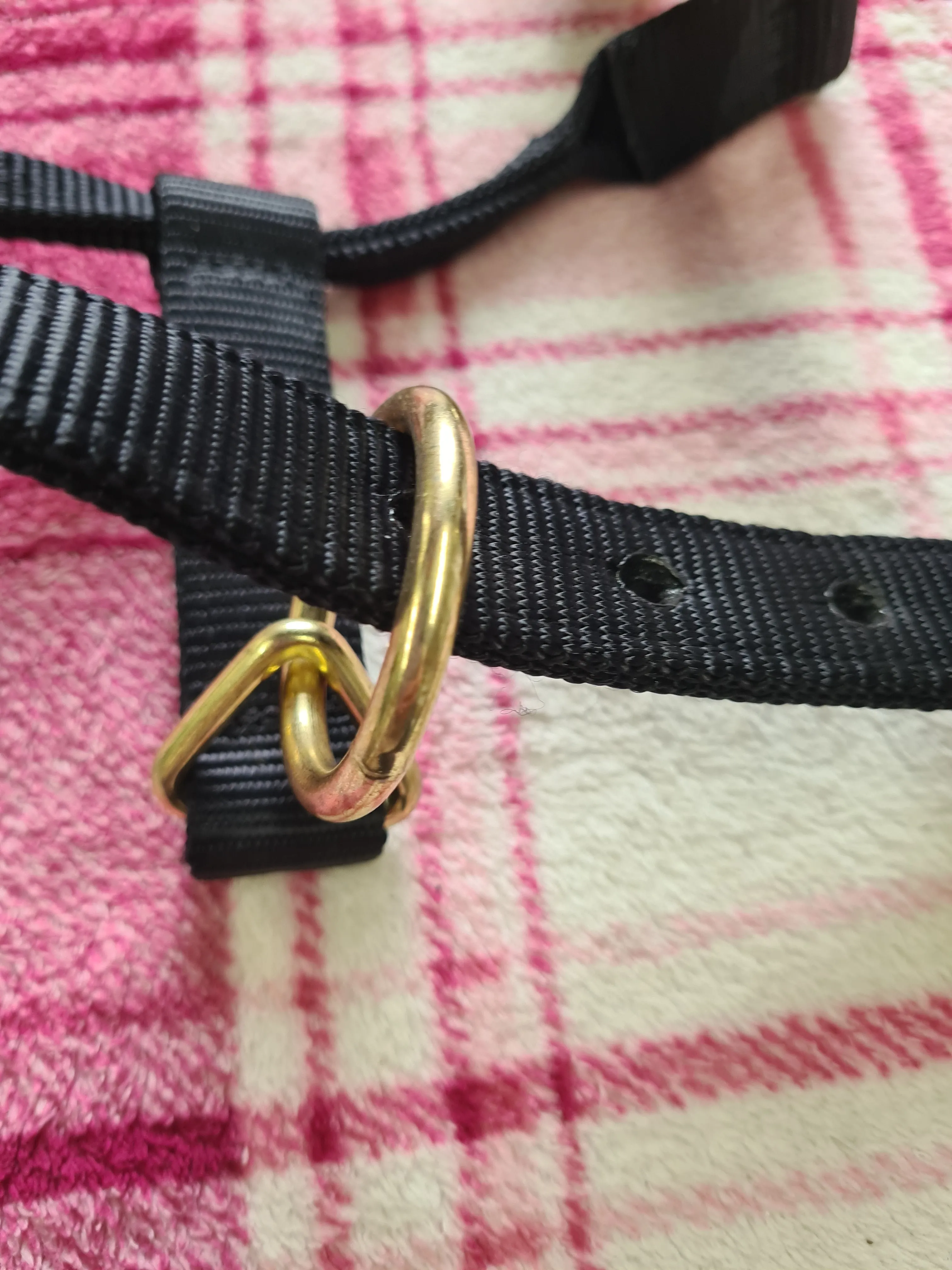 New with tags KM Elite black pony head collar FREE POSTAGE ✅️