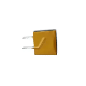 Poly Fuse 9amp Suits Waeco CF Chest Fridges Vera -
