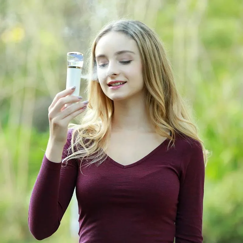 Portable Steamer - Ambassador