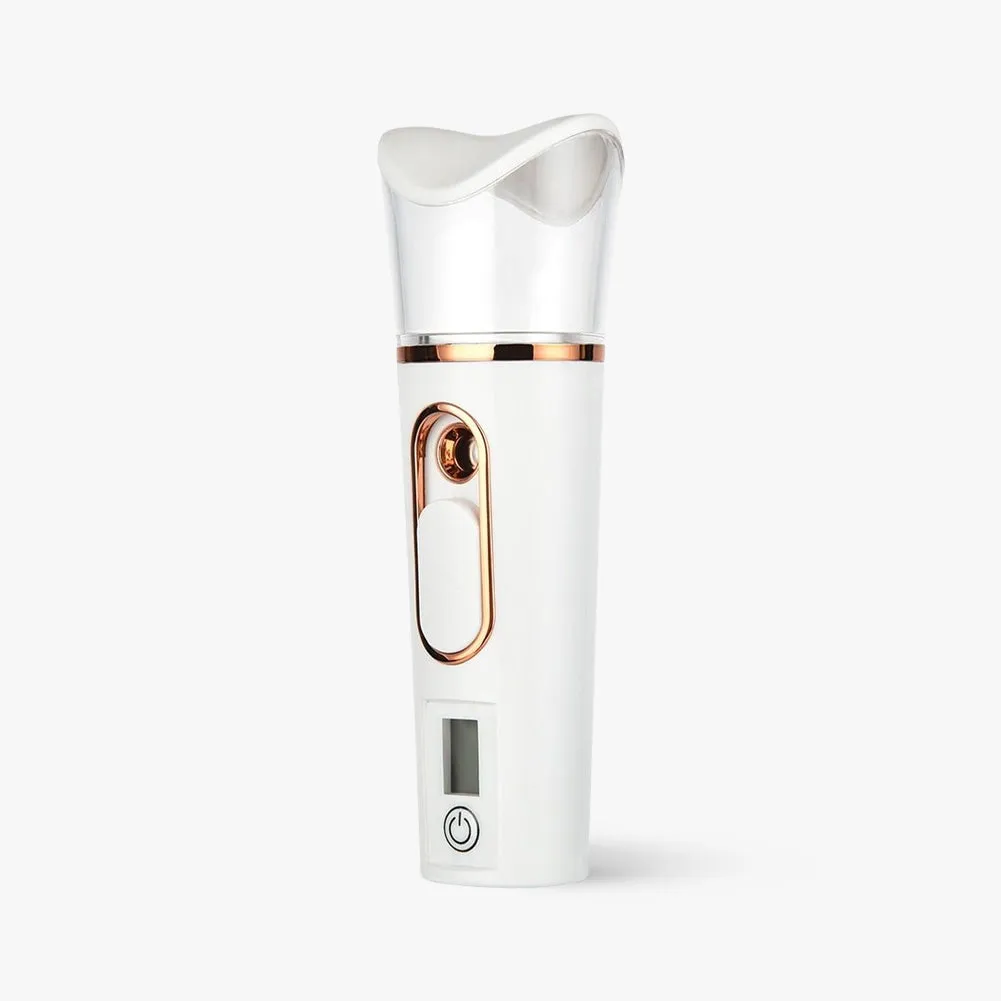 Portable Steamer - Ambassador