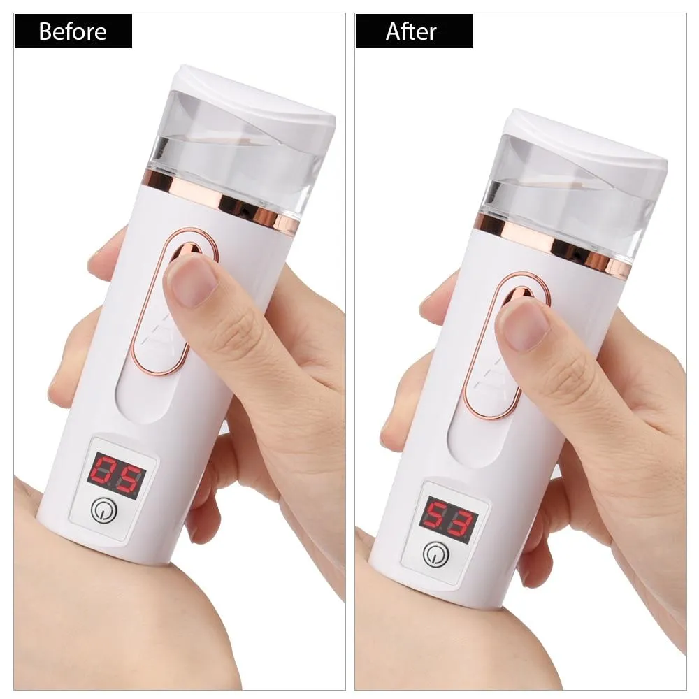 Portable Steamer - Ambassador