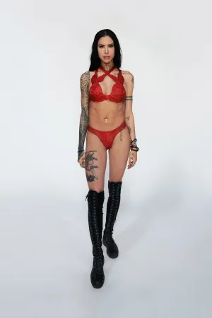 Red Bunny