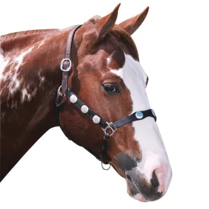 Scalloped Western Headstall Brown