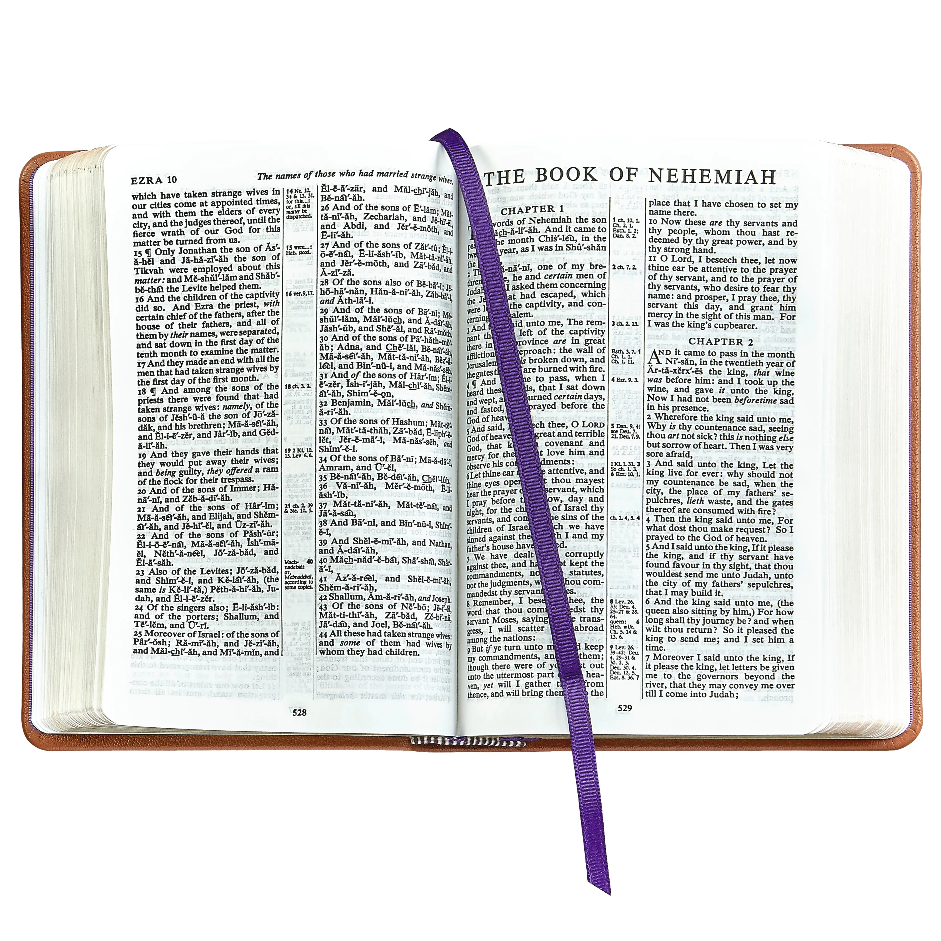 The Holy Bible