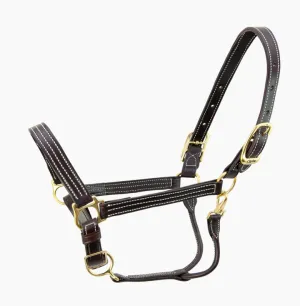 The Walsh Kentucky Halter