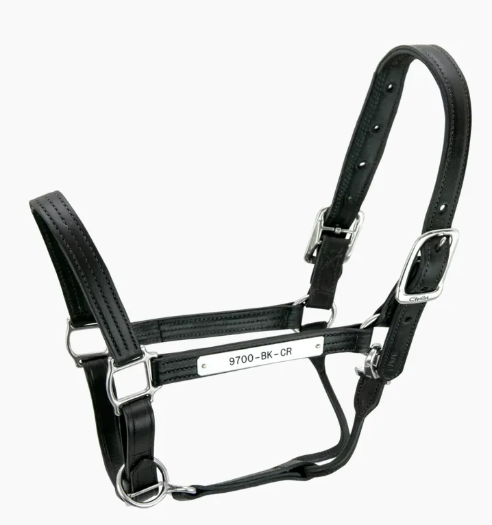 The Walsh Kentucky Halter