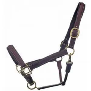 TK1235-Full-Brown Bromont Raised & Padded Leather Halter