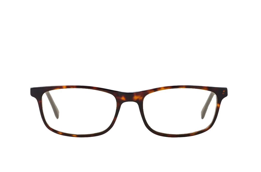 Tortoise Shell Computer Glasses