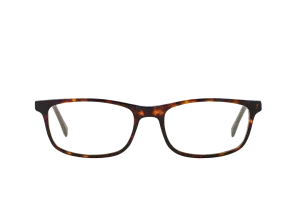 Tortoise Shell Computer Glasses